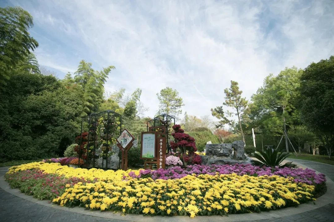 澳门博彩官网