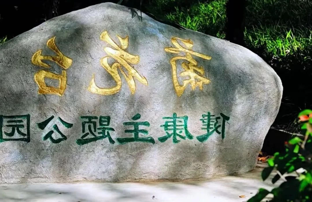 澳门博彩官网