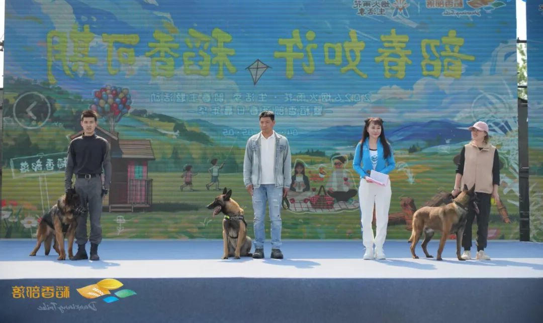 澳门博彩官网