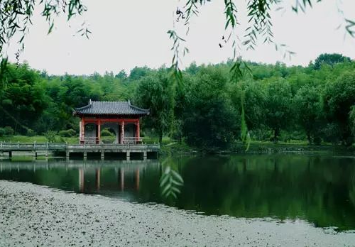 澳门博彩官网