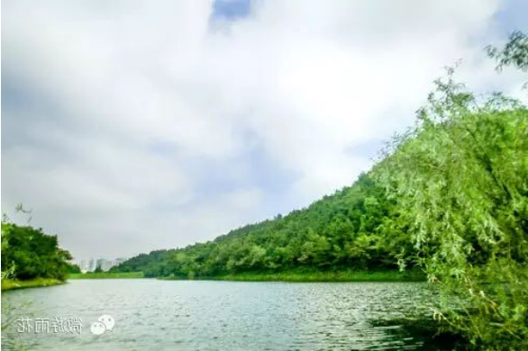 澳门博彩官网